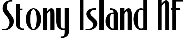 Stony Island title image