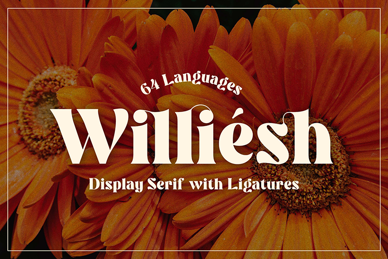Williesh sample image